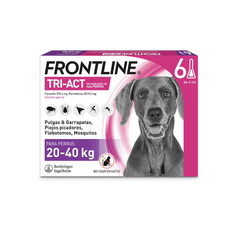 PIPETAS FRONTLINE TRI-ACT 6UDS